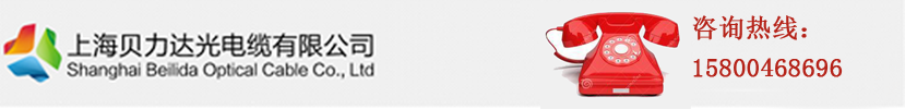 上海贝力达光电缆有限公司